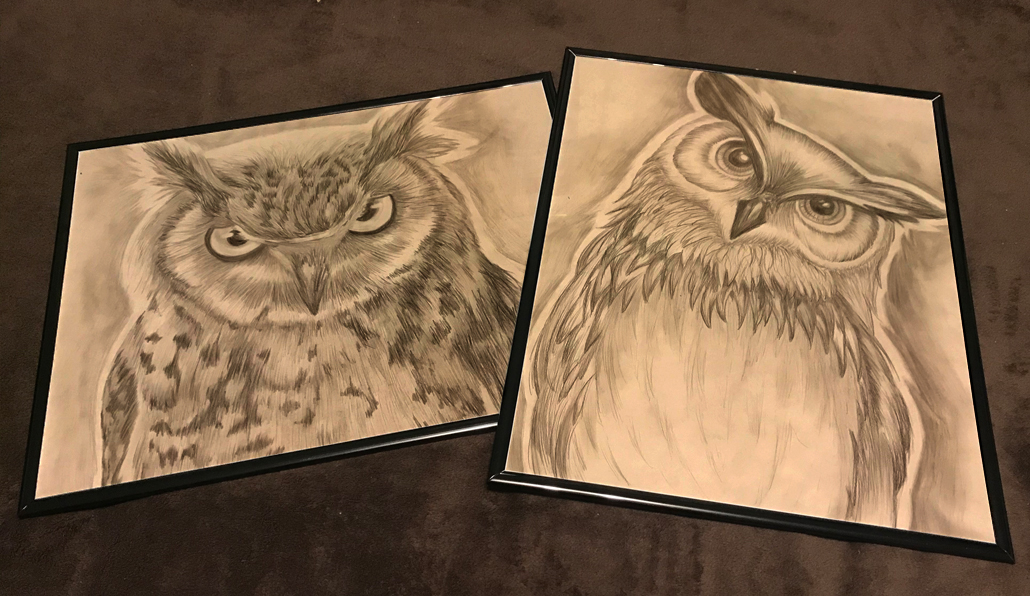 Hand Drawn Owl Drawings